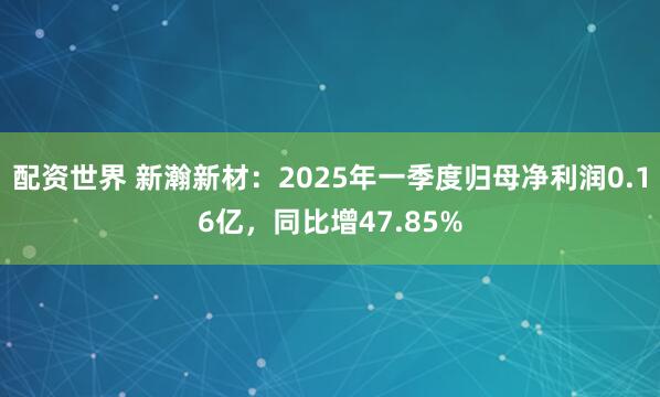 配资世界 新瀚新材:2025年一季度归母净利润0.16亿,同比增47.85%